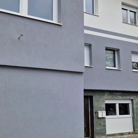 Adam'S Ferienapartments 바트슐러바흐 외부 사진